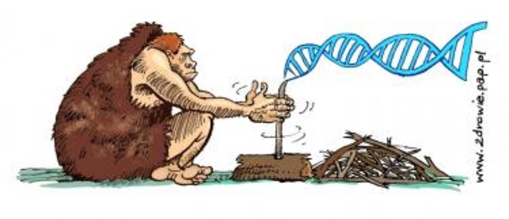 Jak neandertalskie geny wpływają na zdrowie człowieka