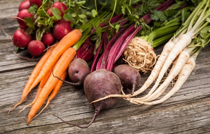  Warzywa korzeniowe i ich wykorzystanie w diecie cukrzycowej